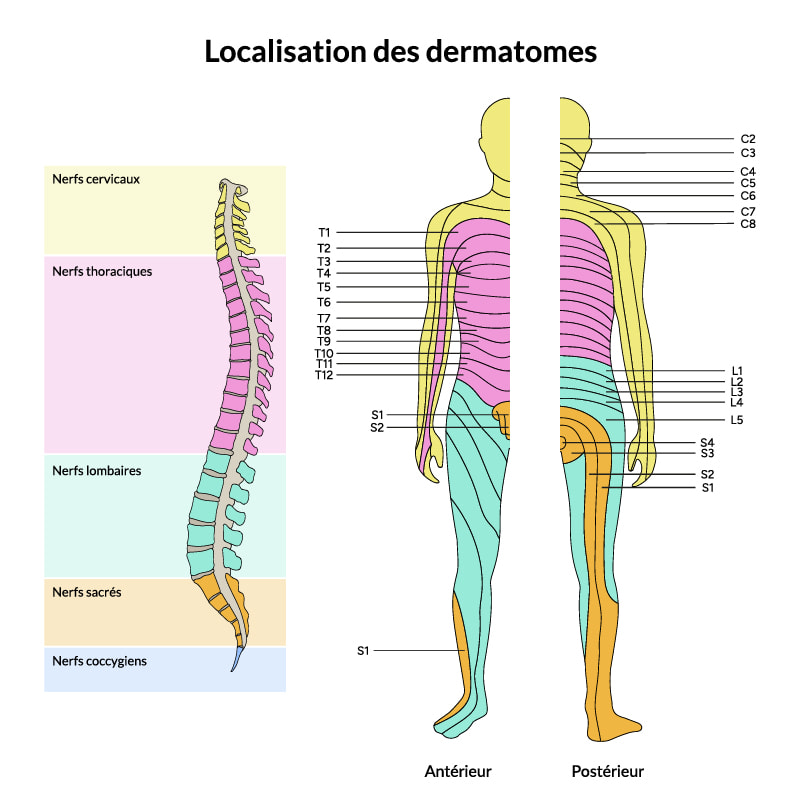 Léonore Schmitt - Masseuse médicale avec brevet fédéral - Douleurs articulations - MTC